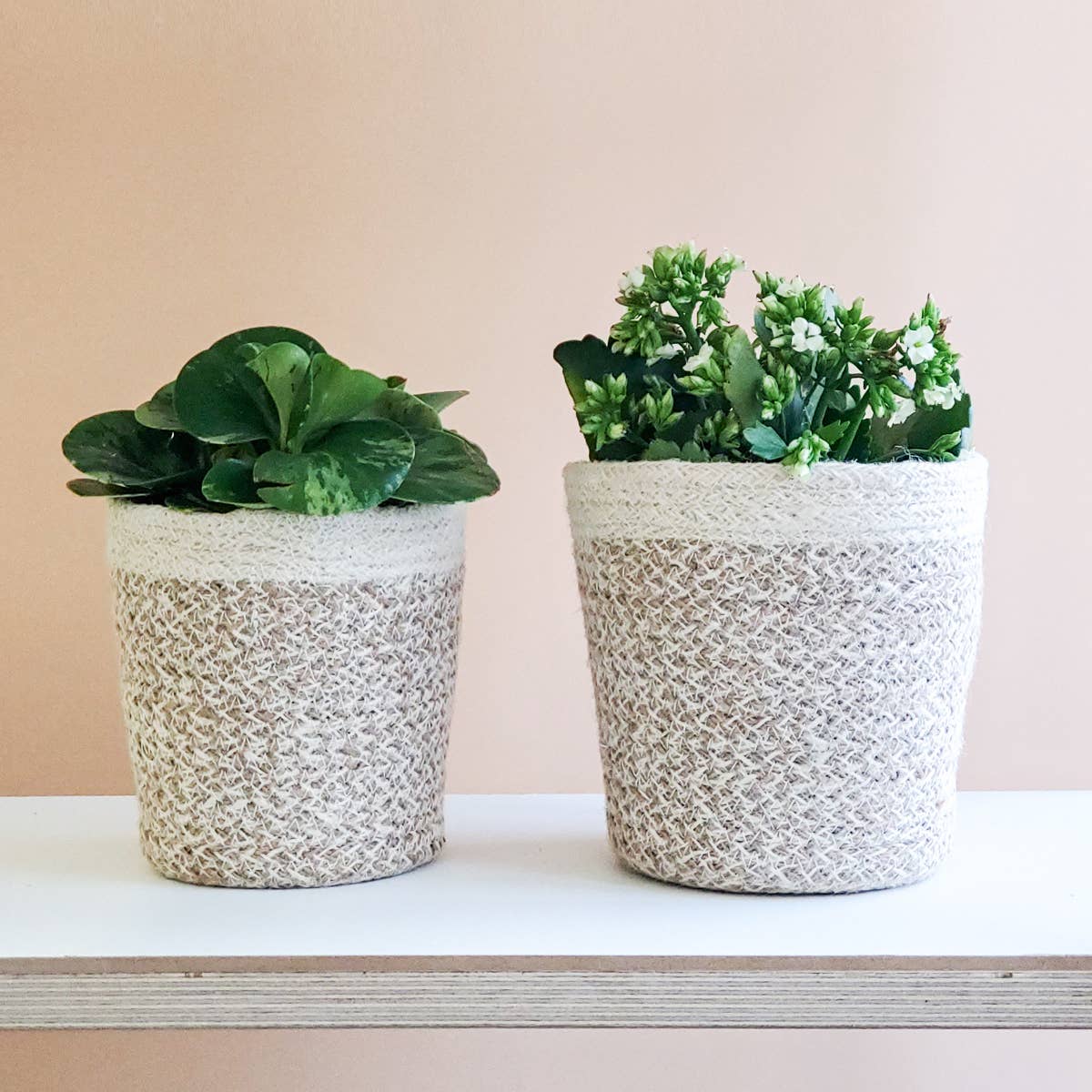 Handwoven Storage Basket • Agora Plant Basket - White