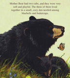 The Legend of Sleeping Bear Picture Book