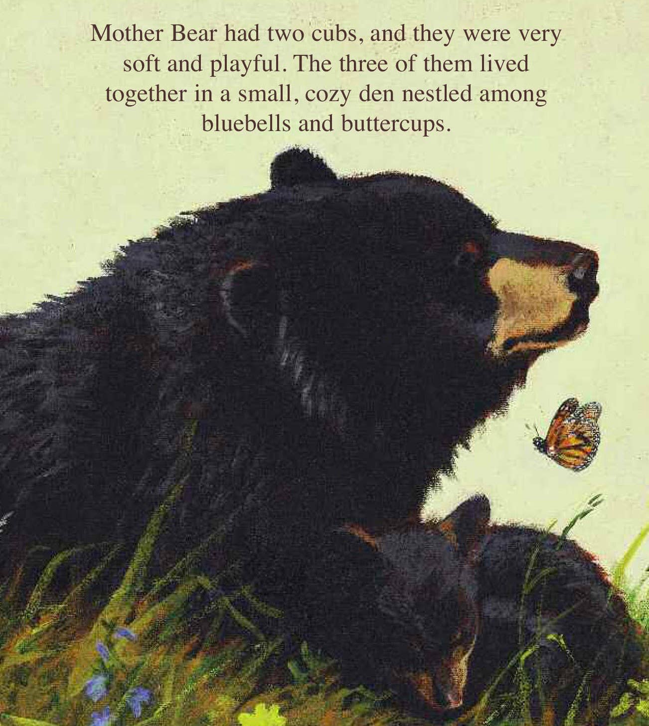The Legend of Sleeping Bear Picture Book
