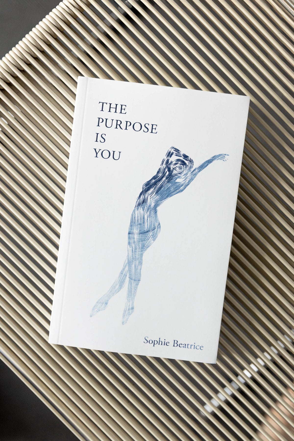 The Purpose Is You (book)