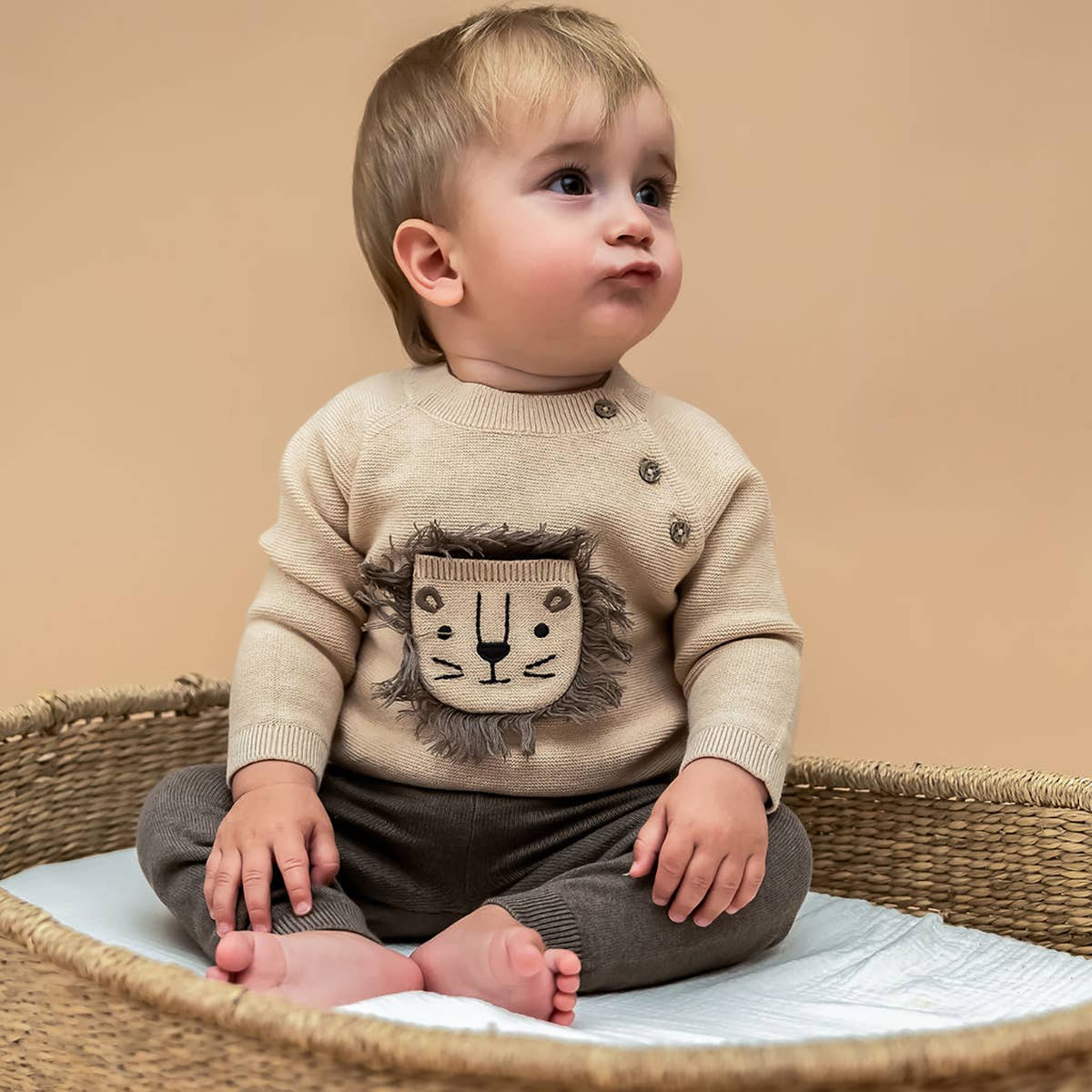 Lion Appliqué Sweater Knit Baby Pullover & Pant SET
