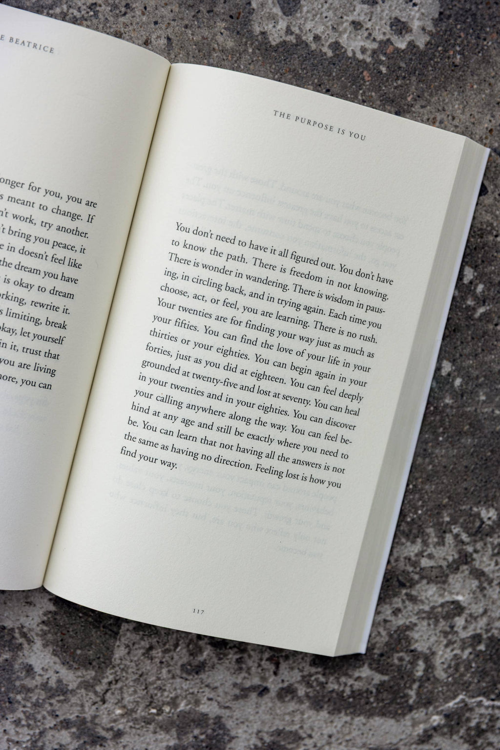 The Purpose Is You (book)