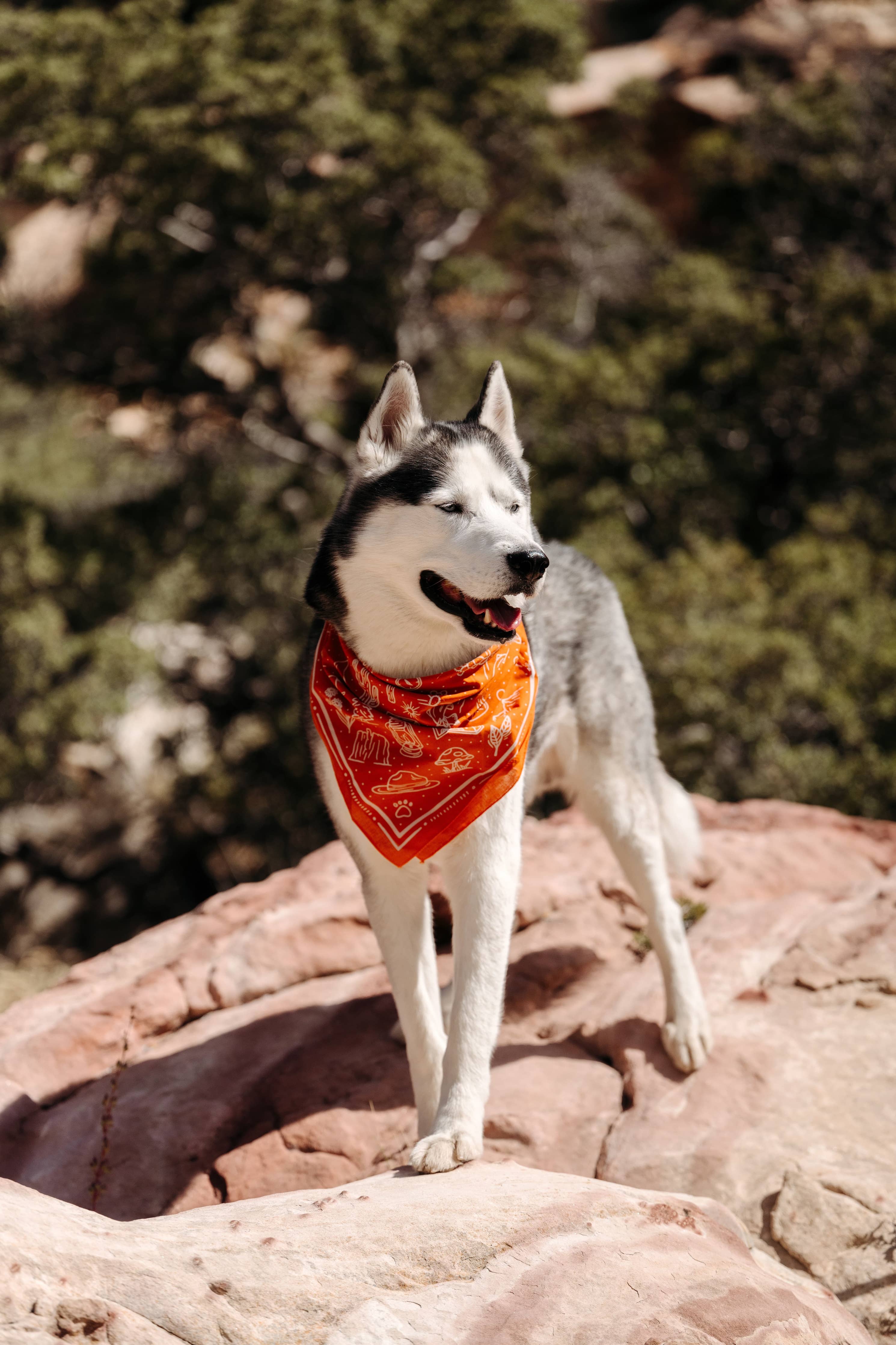 The Explorer Outdoorsy Bandana