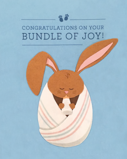 Bundle Of Joy Greeting Card