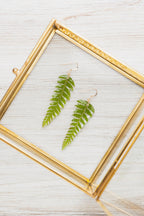 Pressed Fern Earrings