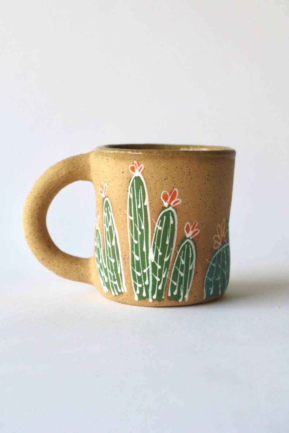 Colorful Cactus House Mug 