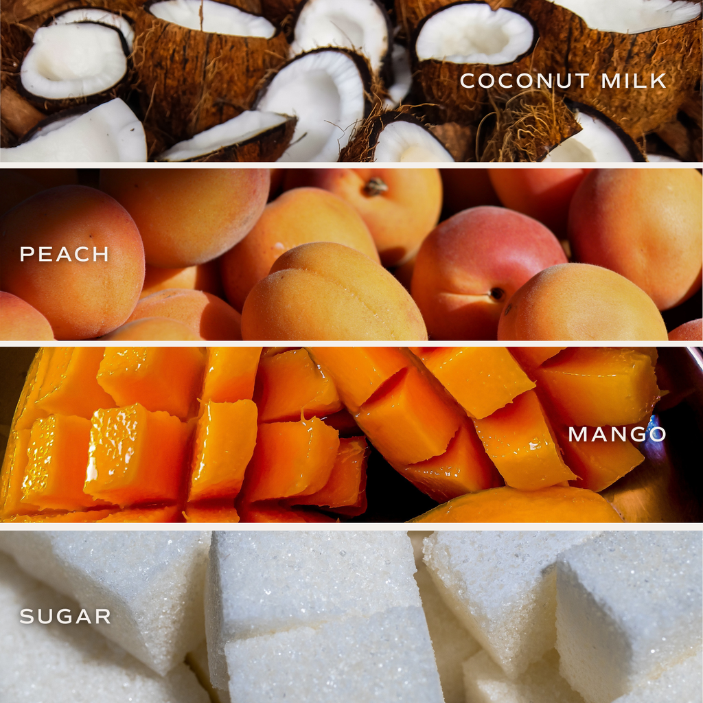 Mango and Coconut 11 oz Soy Candle - Decor & Gifts