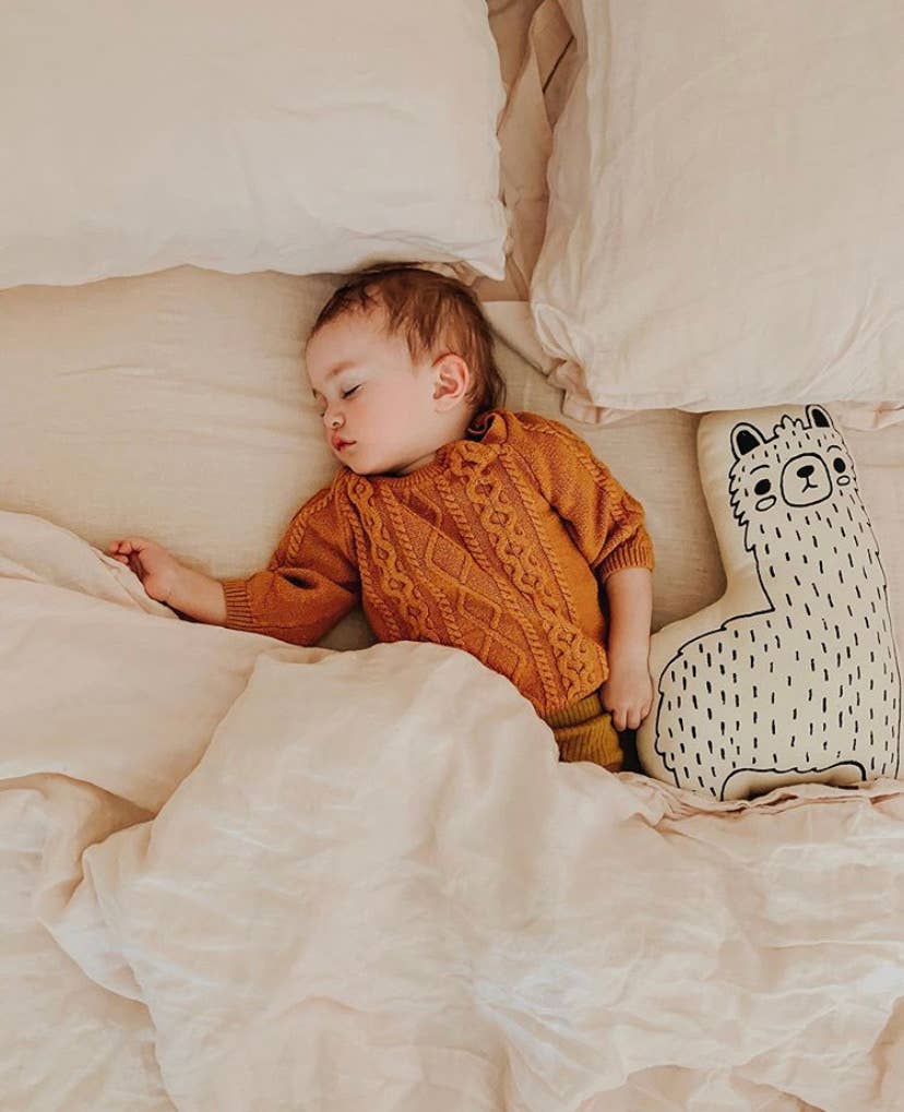 Llama Animal Pillow Canvas Material