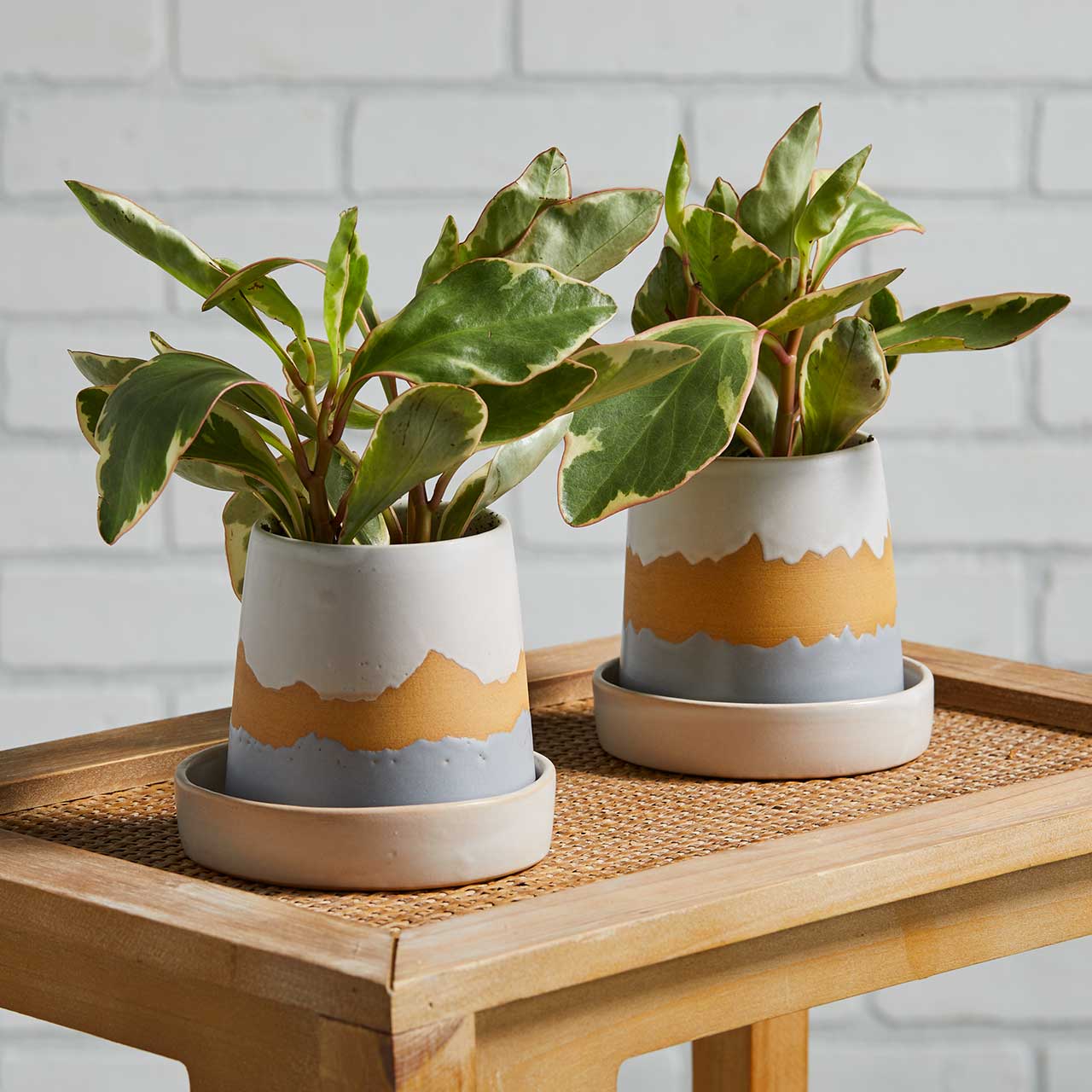 Smoky Mountain Pass Planters - 1 or set of 2