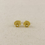 18k Gold Filled Seashell Stud Earrings