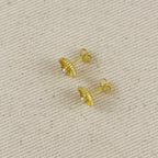 18k Gold Filled Seashell Stud Earrings