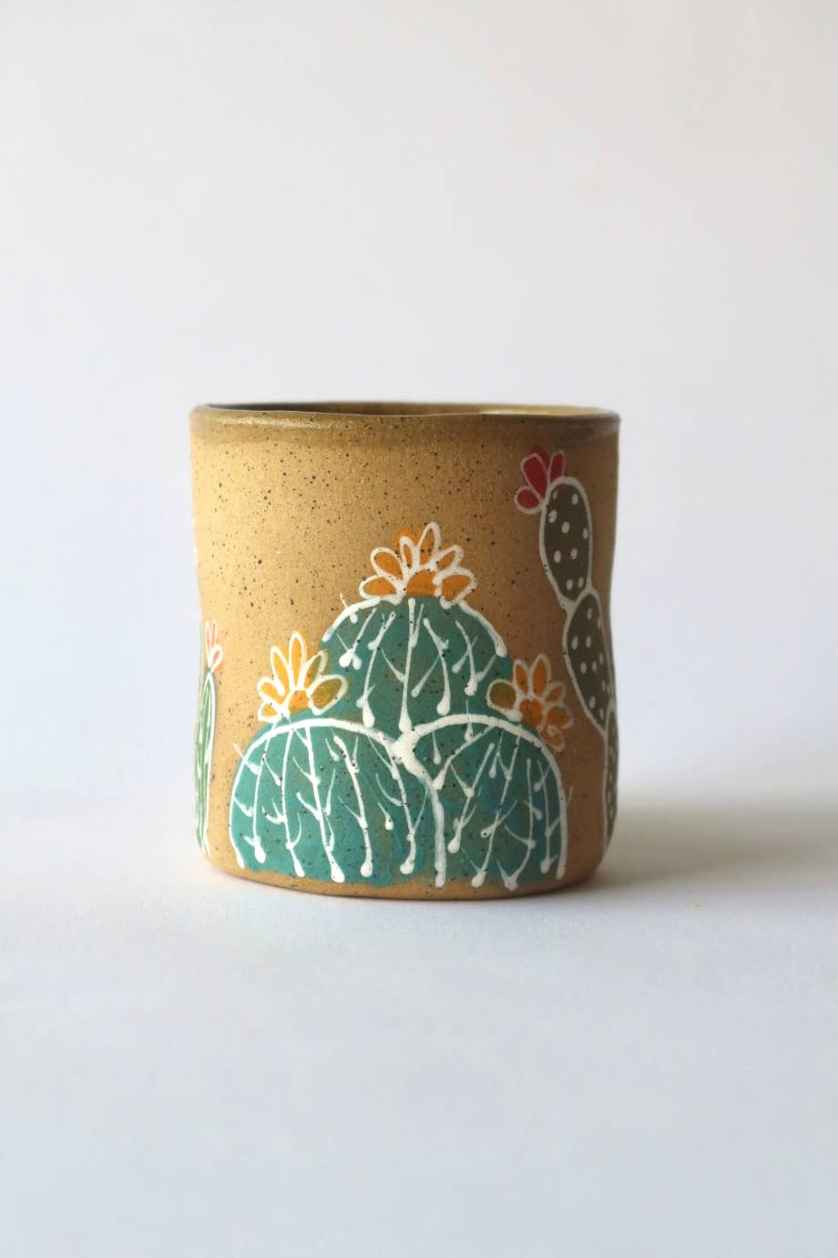 Colorful Cactus House Mug 