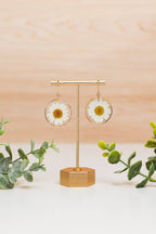Pressed Daisy Earrings, 14k gold filled
